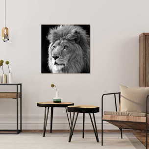 Tableau lion animaux roi de la jungle Toile imprimée