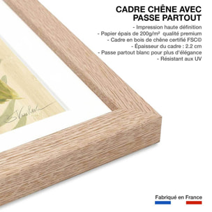 Poster Diamant d'hibiscus Affiche + cadre en bois - Chêne