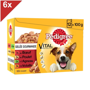 PEDIGREE 72 Sachets fraîcheur en gelée 4 variétés pour chien 100g (6x12)