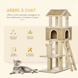 Arbre à chats style cosy chic griffoirs sisal naturel grande niche plateforme échelle jeu boules tourniquet peluche courte cordes d'algues tressées