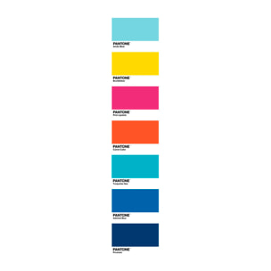Pantone - Funda Nórdica Estampada - Cierre Solapa - 100% Algodón - Incluye 1/2 Fundas de Almohada - Fun Deck A
