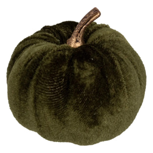 PLF CITROUILLES VELOURS X5