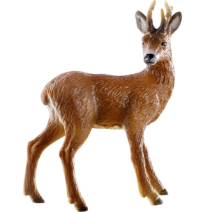 Animali della Foresta/Capriolo