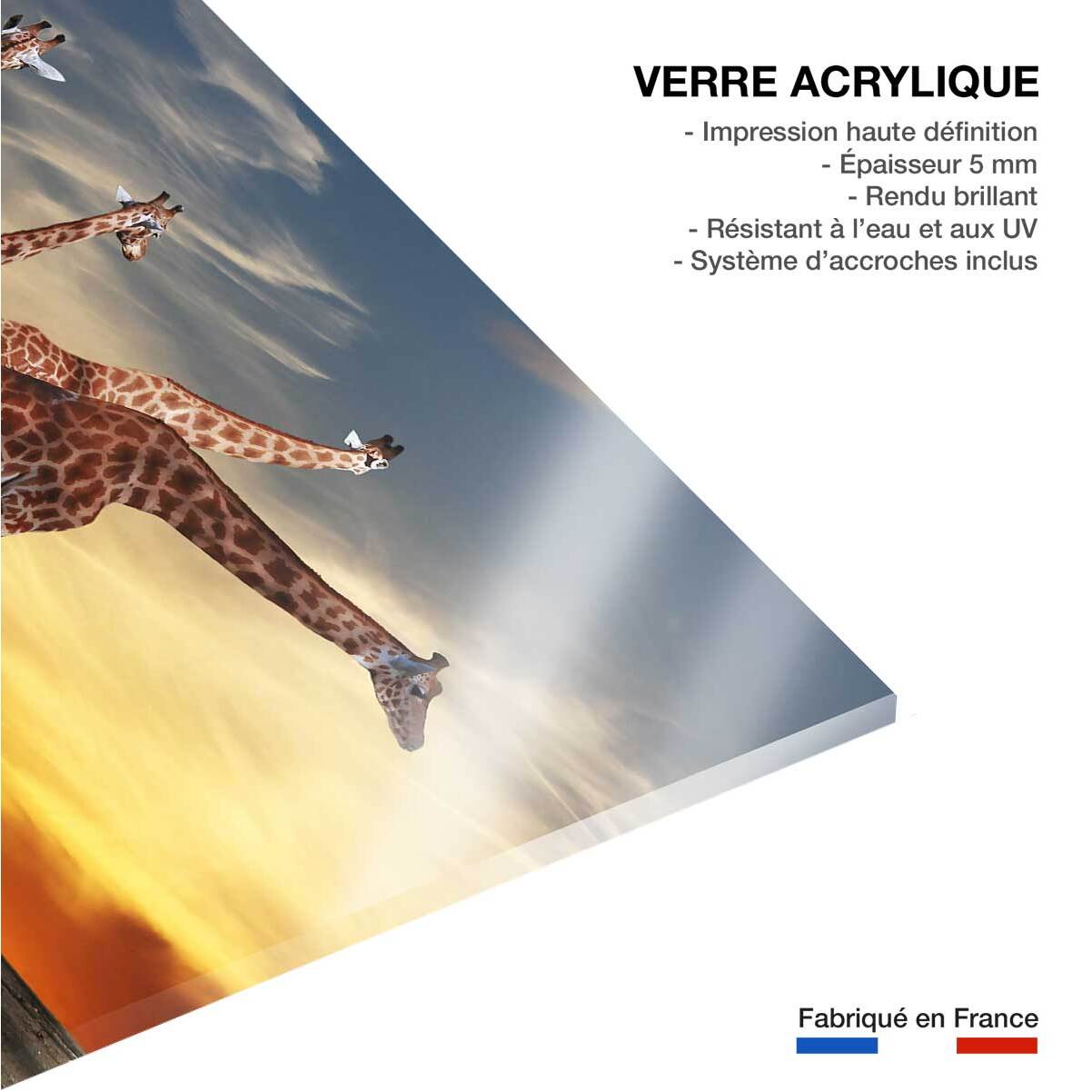 Tableau animaux girafe meeting Tableau plexiglas
