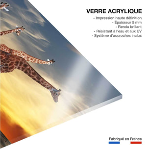 Tableau animaux girafe meeting Tableau plexiglas