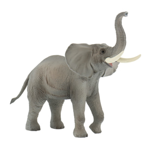 Safari/Elefante Africano