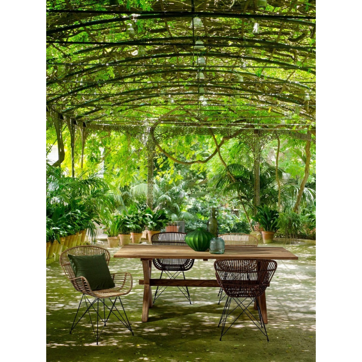 Poltrona VENTURS croco