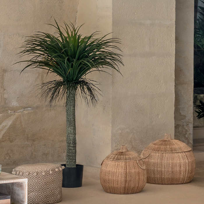 Yucca artificiel "Tropiques" H150 cm