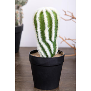 Cactus Con Vaso. Altezza 20 Cm - Pezzi 6 - 9,5X20X9,5cm - Colore: Bianco - Bianchi Dino - Piante Artificiali