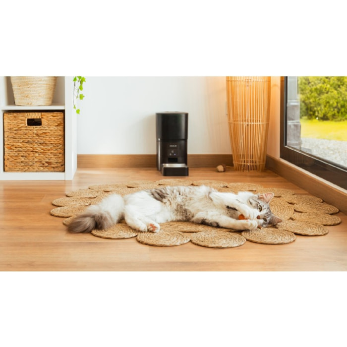 Cecotec Comedero Pumba 6000 Purrfect Meal Smart Cecotec