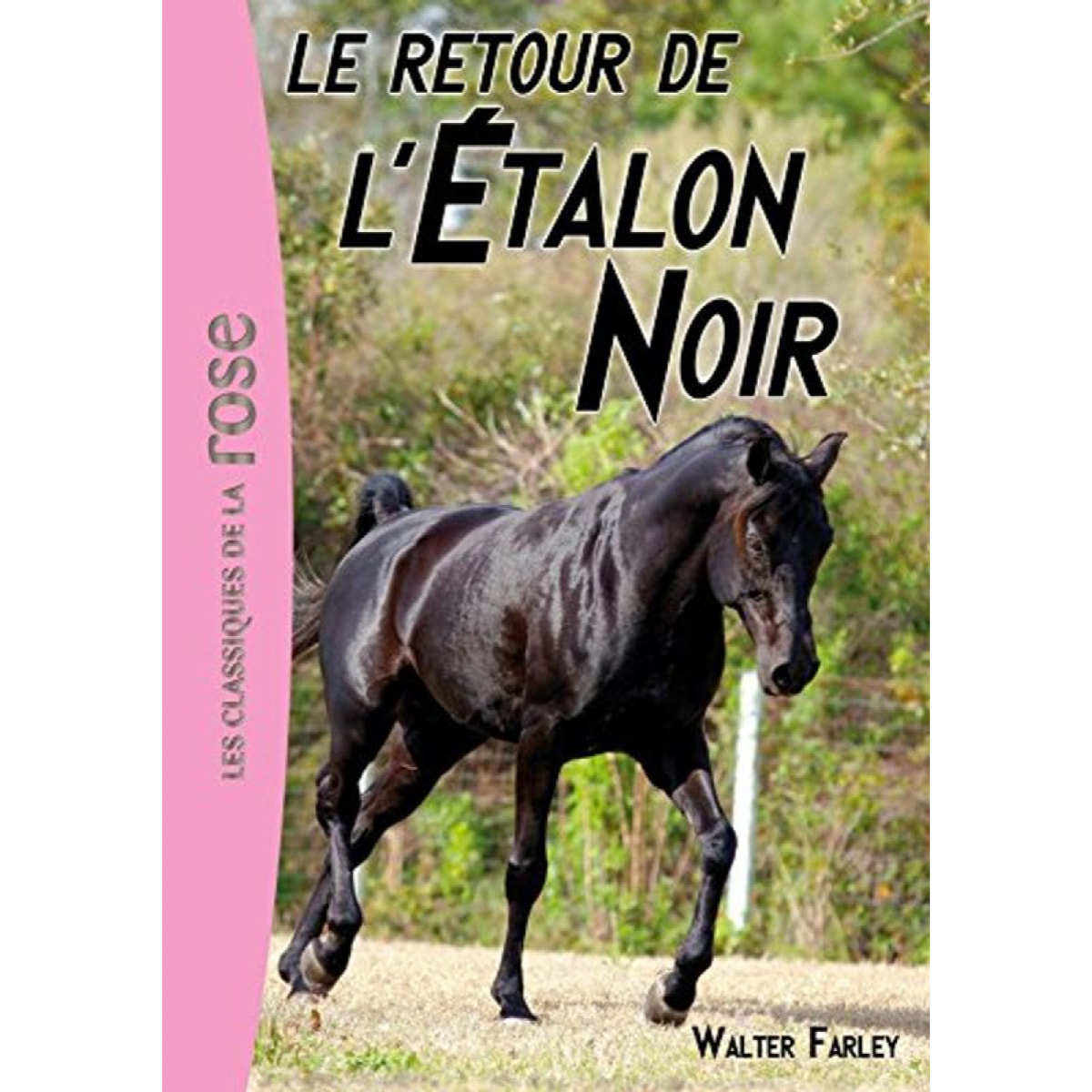 Farley, Walter | L'Étalon Noir 02 - Le retour de l'Étalon Noir | Livre d'occasion