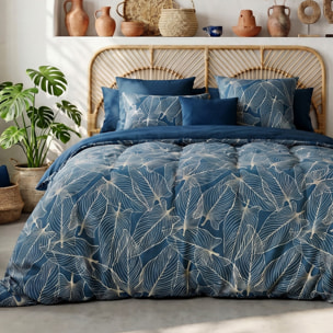 Parure housse de couette coton bleu