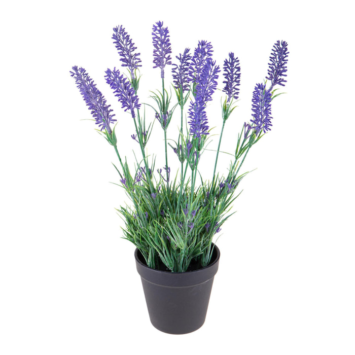 Lavanda In Vaso. Altezza 38 Cm - Pezzi 2 - 21X38X21cm - Colore: Viola - Bianchi Dino - Fiori Artificiali