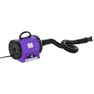 Secador de Pelo para Perros 2800W Secador para Mascotas con Temperatura y Velocidad del Viento Ajustable 3 Boquillas Tubo Flexible 2,1 m y Asa Portátil 40x16x20 cm Negro y Púrpura