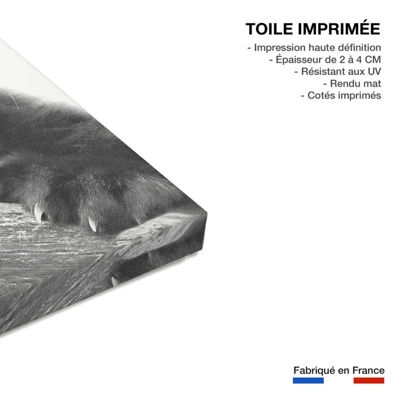 Tableau animaux panda roux  Toile imprimée