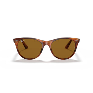 Ray Ban Gafas de sol para cada estilo de vida RB2185 Wayfarer II