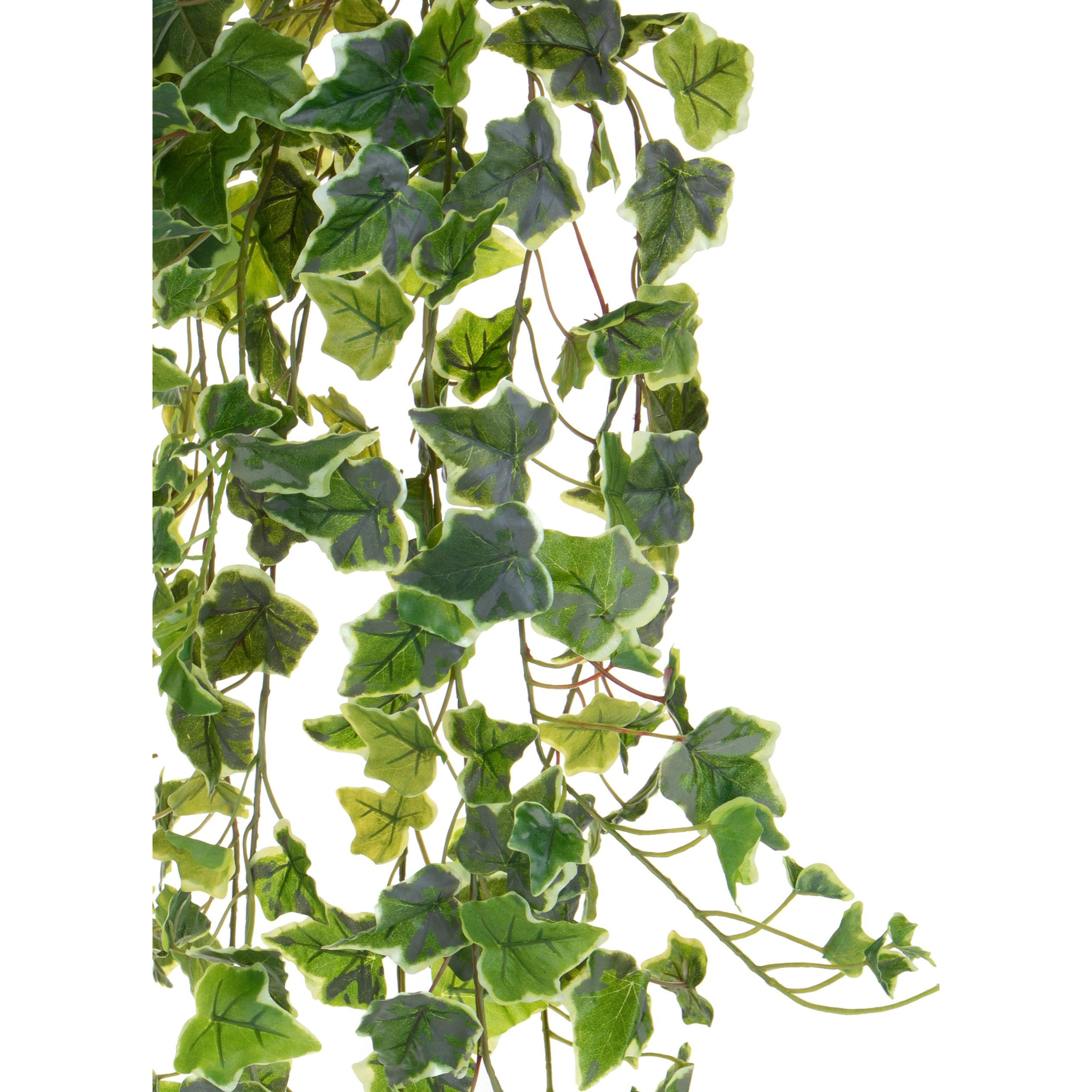 Edera Rampicante Real Touch 175 Cm - Pezzi 1 - 40X175X40cm - Colore: Verde - Bianchi Dino - Piante Artificiali
