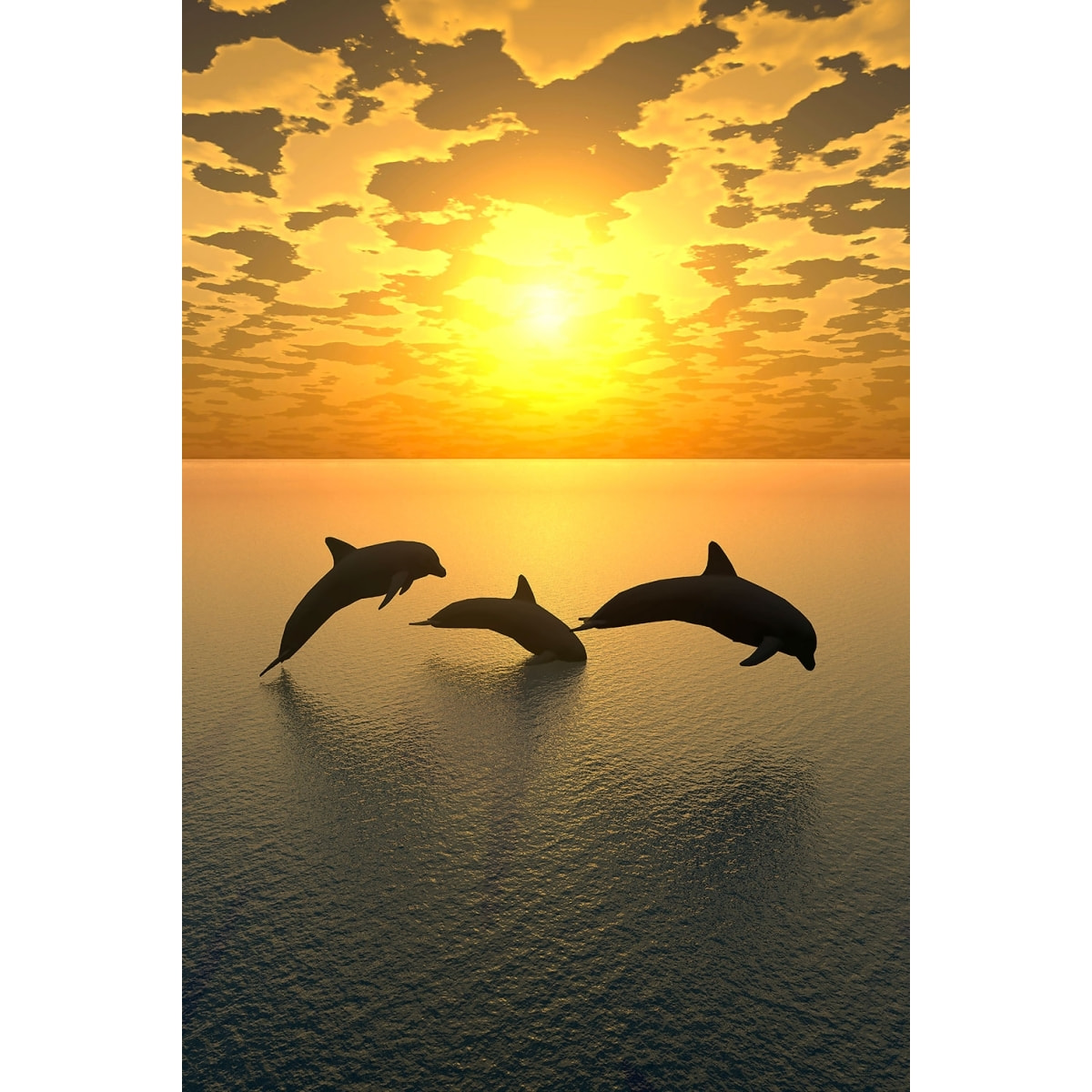 Tableau décoratif dauphins Tableau alu Dibond