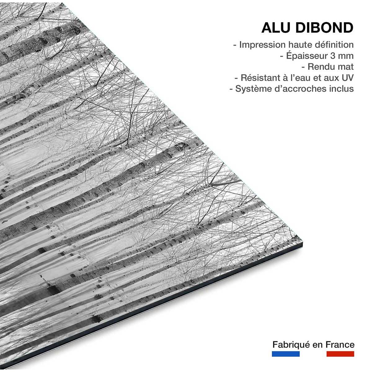 Tableau nature automnale pieds dans l'eau Tableau alu Dibond