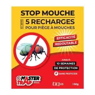 Tueurs insectes MASTER TRAP stop mouches x5