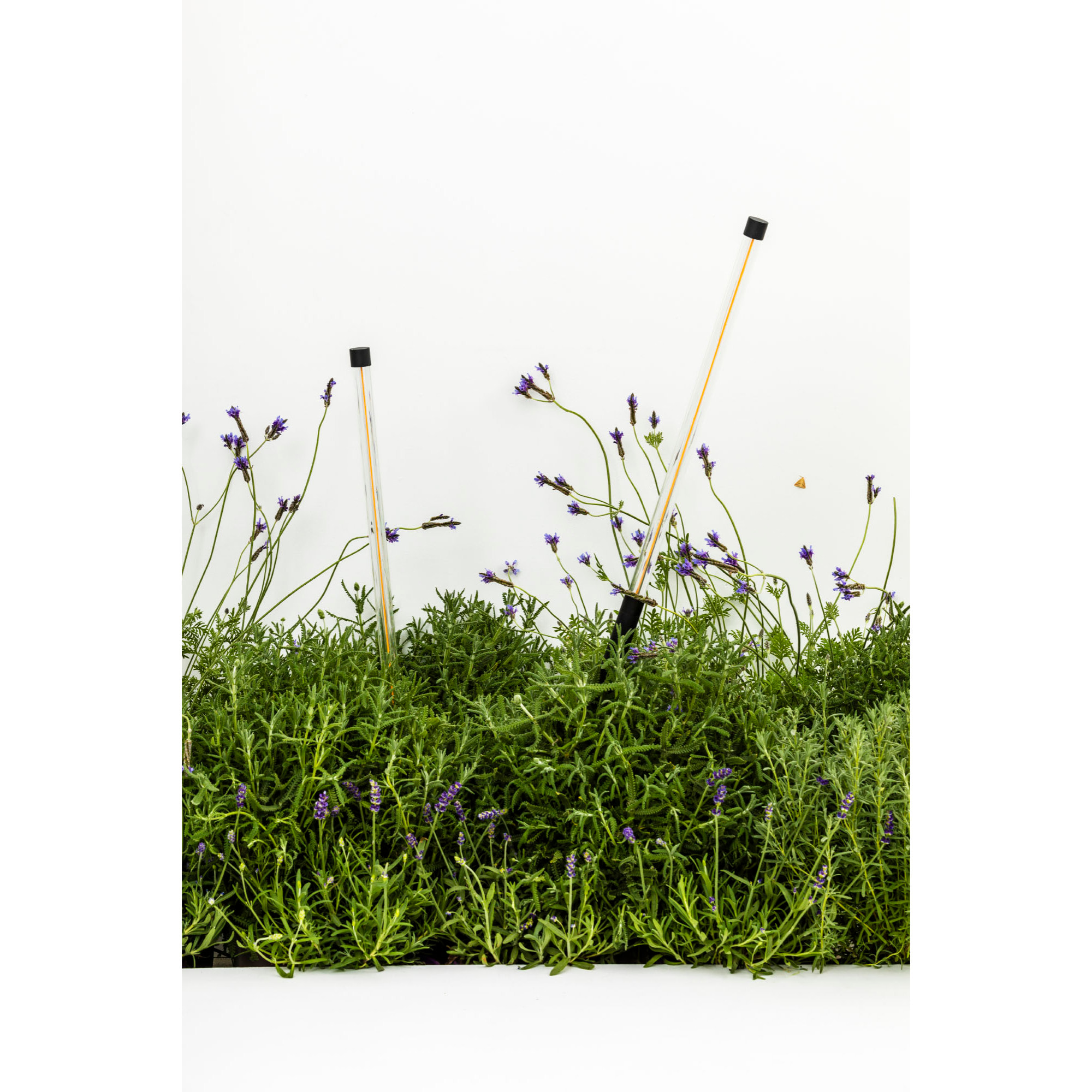 BAMBOU 1068 Lampe piquet noire