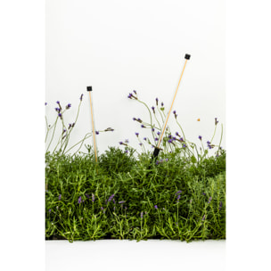 BAMBOU 1068 Lampe piquet noire