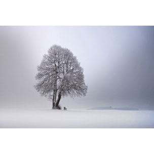 Tableau paysage Lumière d' hiver Toile imprimée