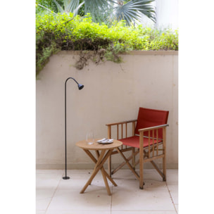 LILY 1190 Baliza negra