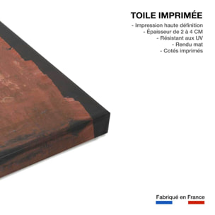 Tableau art primitif Toile imprimée