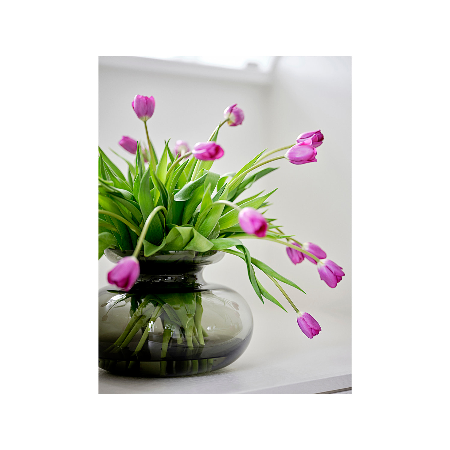 Vase Inu