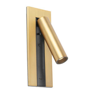 GABO USB C Aplique lector bronce