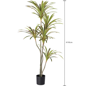 Dracena Marginata Con Vaso 190 Cm - Pezzi 1 - 90X190X90cm - Colore: Verde - Bianchi Dino - Piante Artificiali