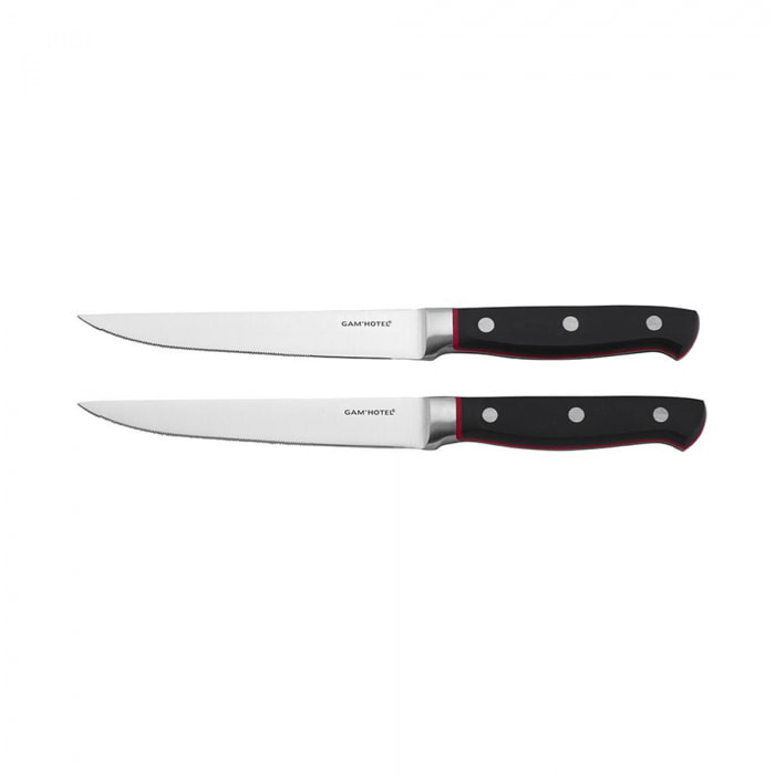 2 Couteaux à steak 25cm