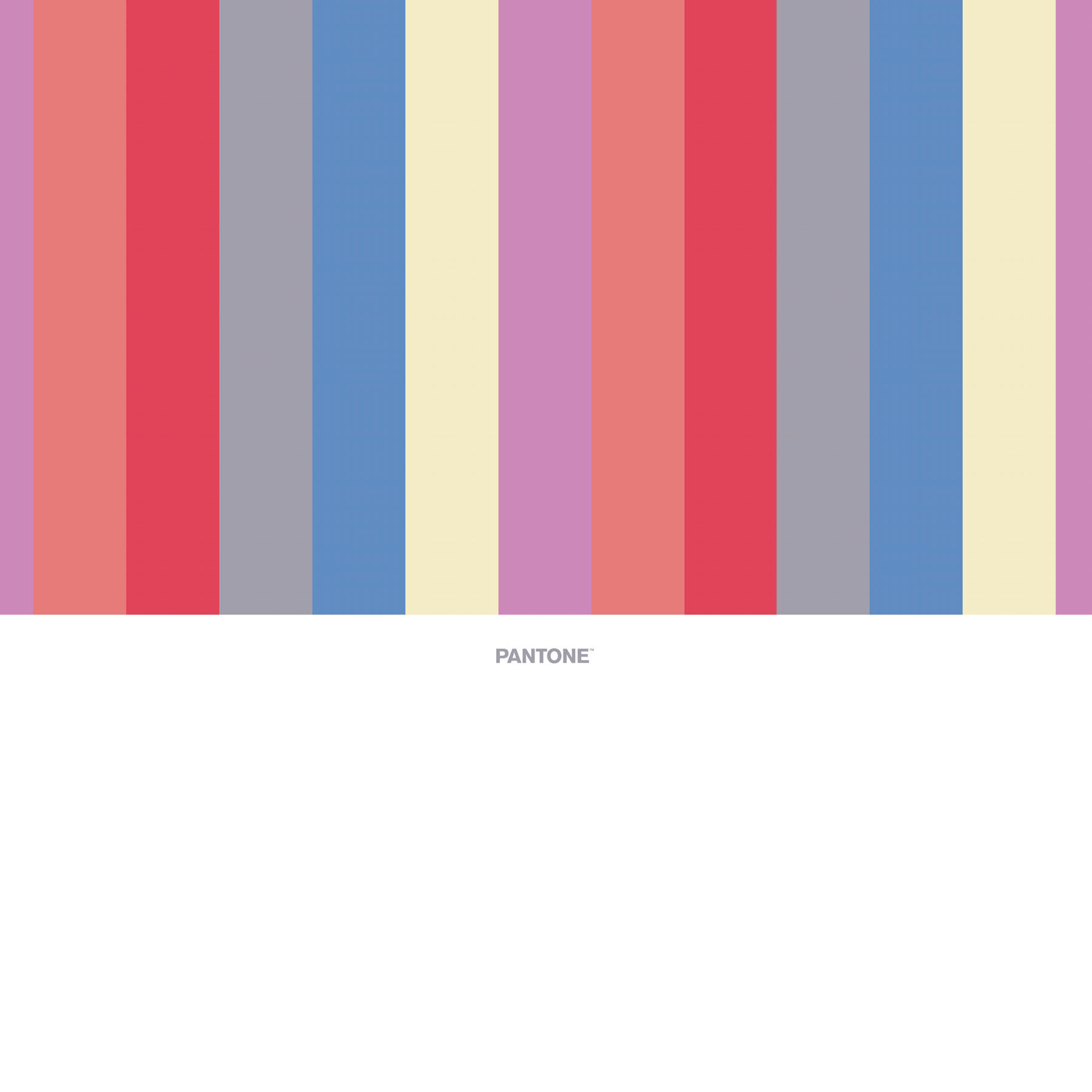 Pantone - Colcha Bouti Estampada - 100% Algodón - 70 gr/m² - Stripes