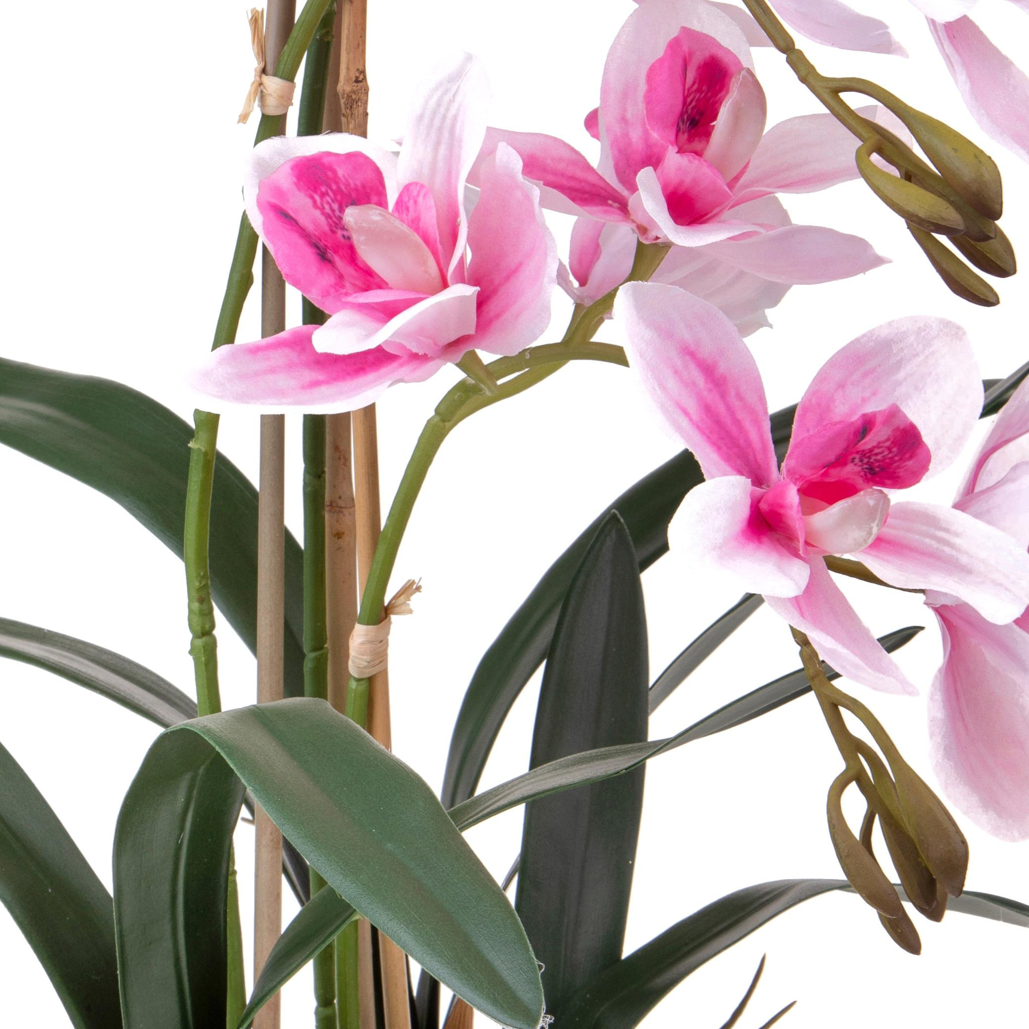 Orchidea Cymbidium Con 3 Diramzioni In Vaso. Altezza 56 Cm - Pezzi 1 - 34X56X34cm - Colore: Rosa - Bianchi Dino - Piante Artificiali