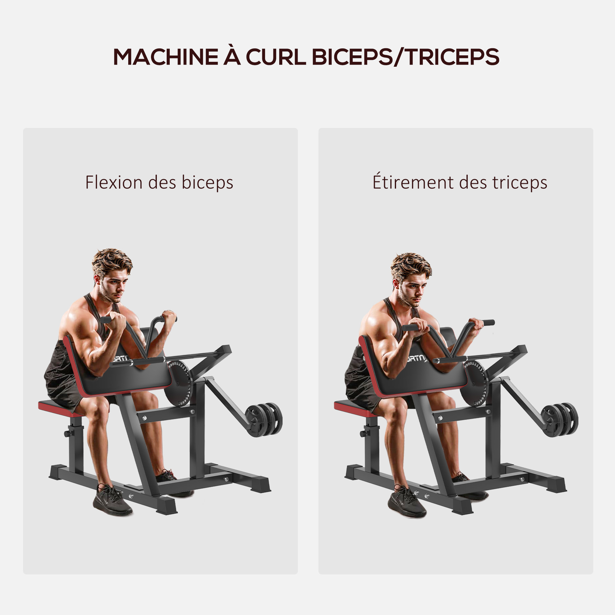 Banc à biceps preacher curl assise réglable 5 niveaux charge max. 120 Kg acier noir rouge