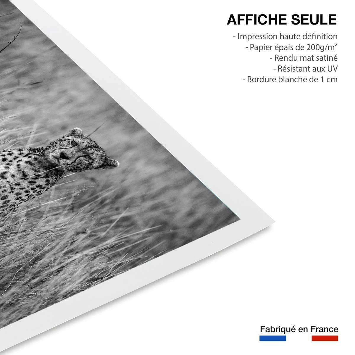 Affiche animaux Cheetah Affiche seule