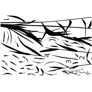 Stickers muraux | Sticker Mural Autocollant - NATURE HERBES HAUTES - adhésifs fond transparent