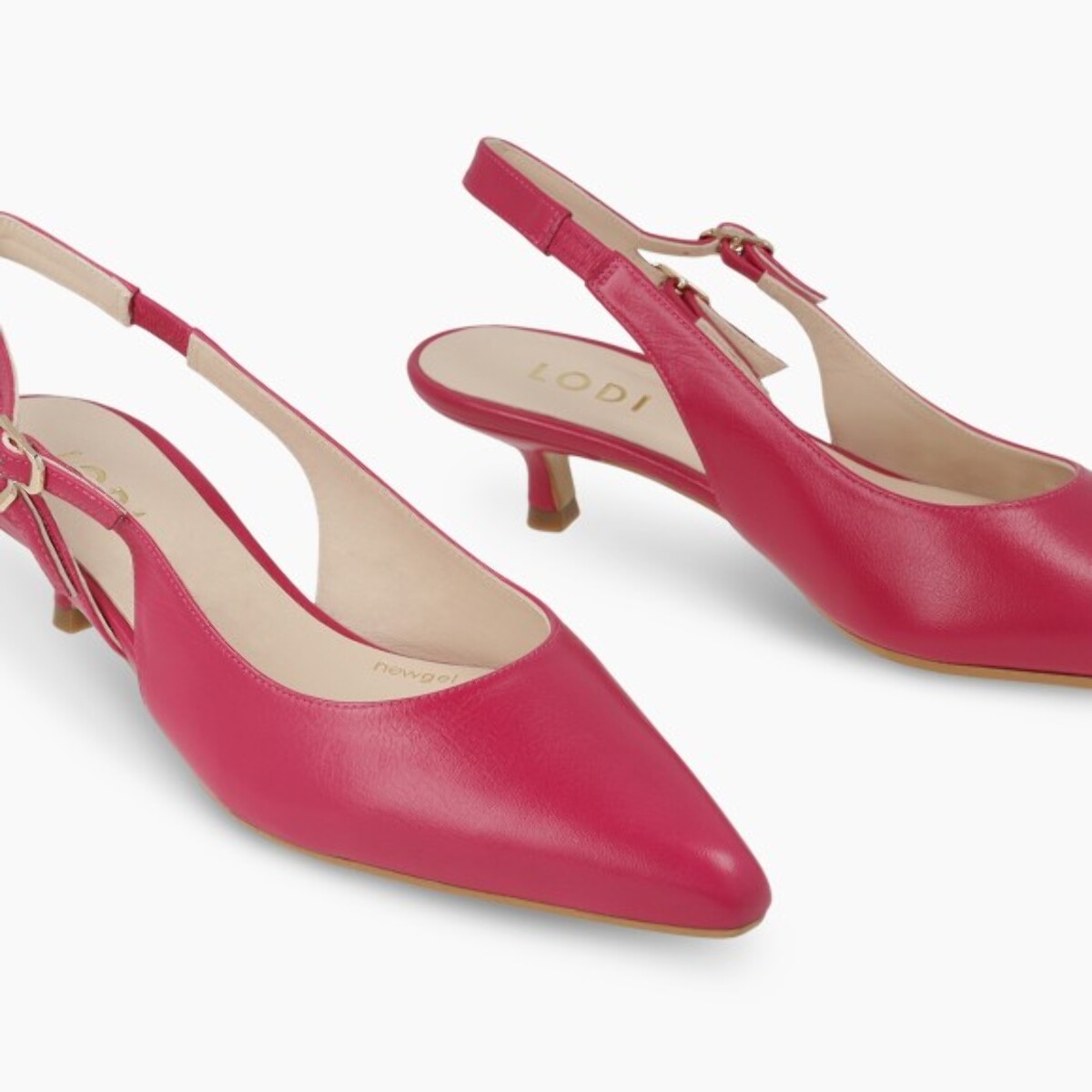 ZAPATOS DE SALÓN ROSAS DALMATA
