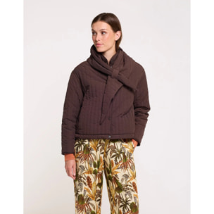 Chaqueta Marrón Chocolate - Zolo