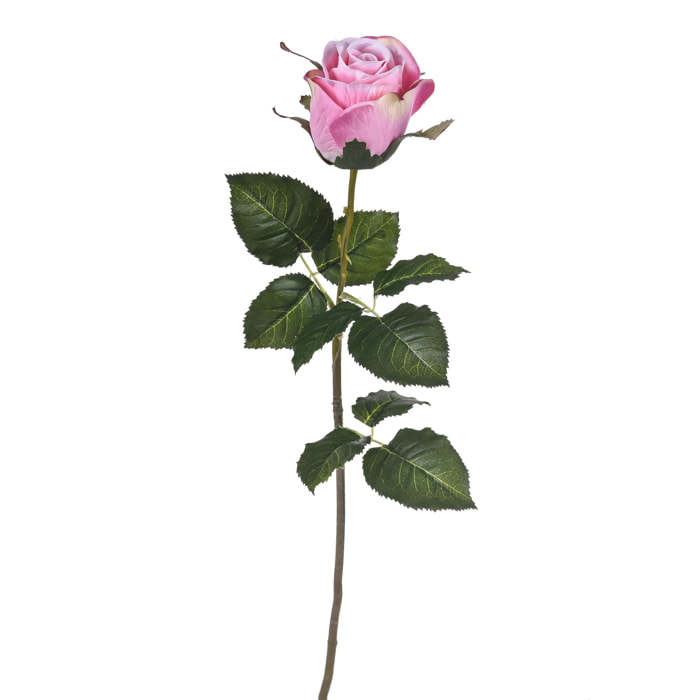 Rosa Bacarat. Altezza 67 Cm - Pezzi 12 - 7X67X5cm - Colore: Rosa - Bianchi Dino - Fiori Artificiali