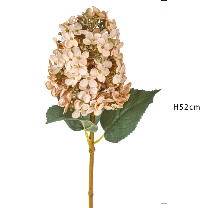 Ortensia Paniculata 52 Cm Romantica - Pezzi 3 - 16X52X16cm - Colore: beige - Bianchi Dino - Ortensia