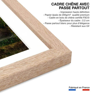 Affiche paysage sur le chemin Affiche + cadre en bois - Chêne