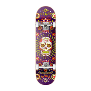 Skate completo Hydroponic MEXICAN CO PURPLE SKULL