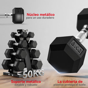 Juego de Mancuernas de 8 Piezas 50 kg, Mancuernas Hexagonales 2x2kg, 2x5kg, 2x8kg, 2x10kg, con Soporte de Almacenamiento y Mango Antideslizante para Entrenamiento en Casa Gimnasio, Negro
