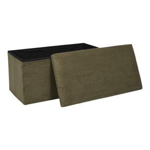 Coffre Banc Pliable Cotele Scott Vert