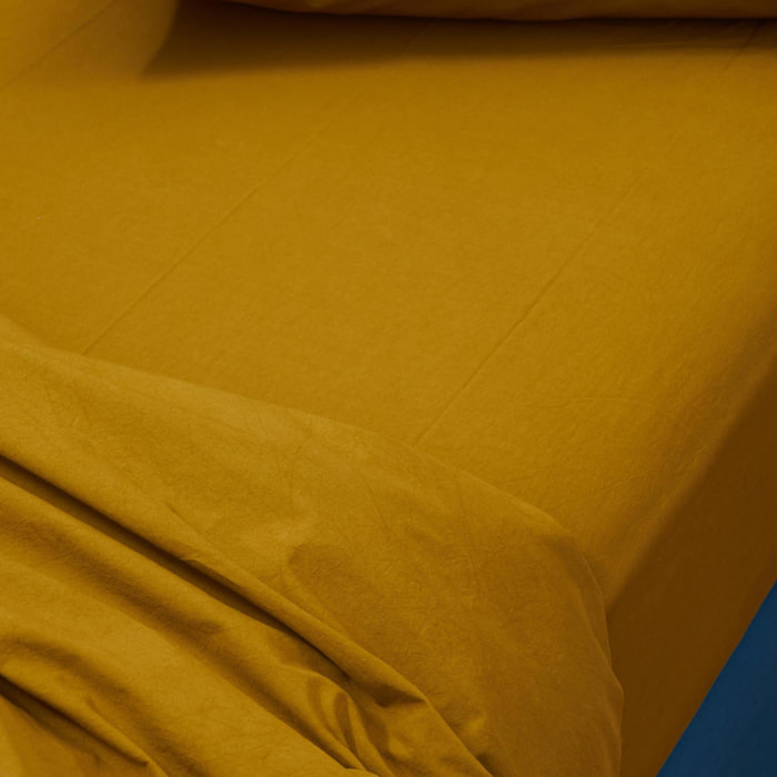 Drap housse Céleste