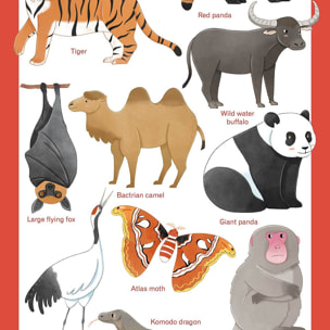 Affiche enfant animaux d' asie  Affiche + cadre en bois - Chêne