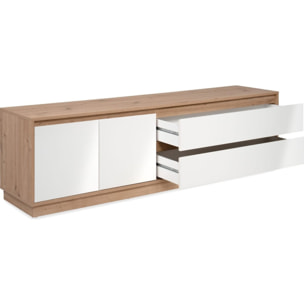 Meuble TV 2 portes 2 tiroirs - NALEN