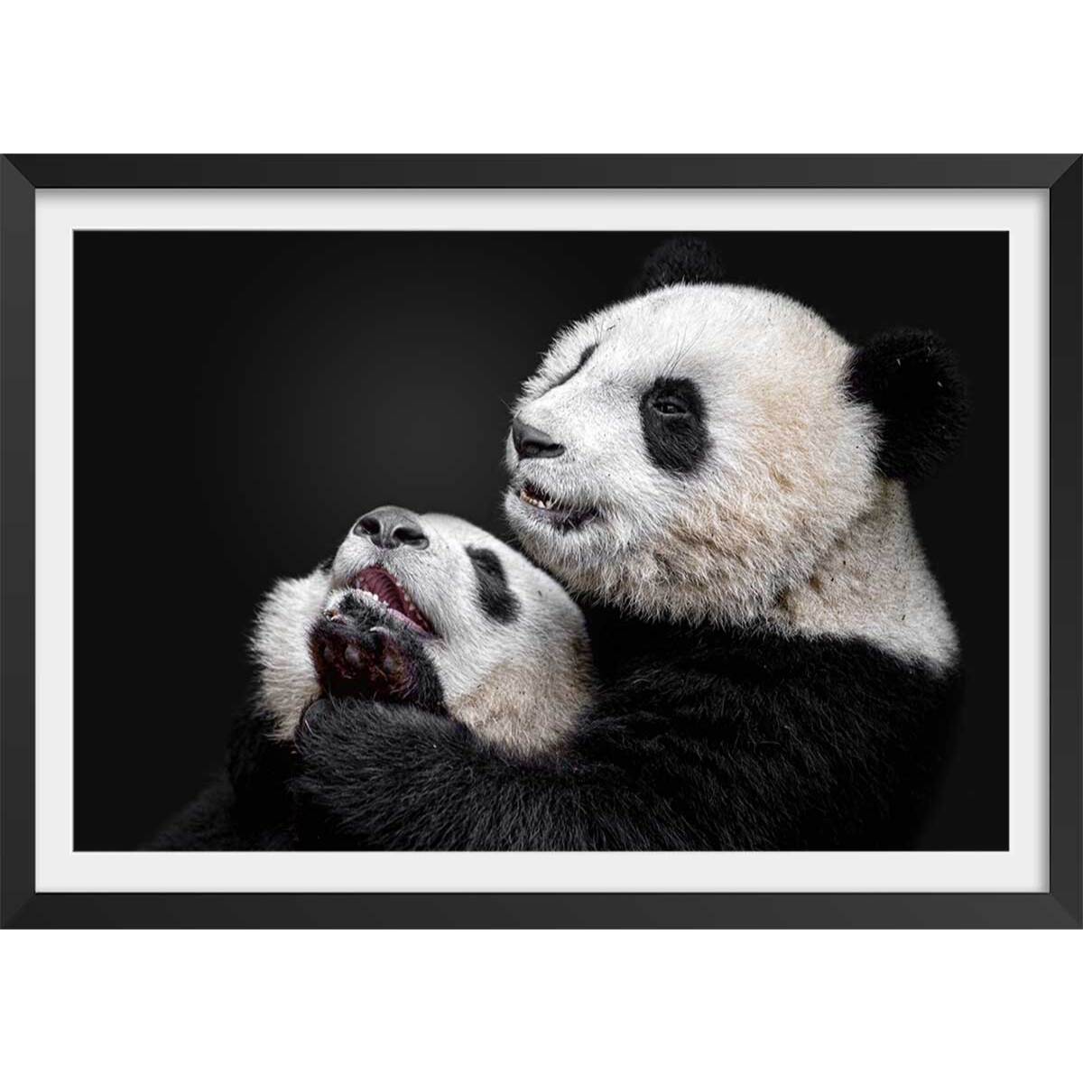 Affiche enfant pandas  Affiche + cadre en bois - Noir